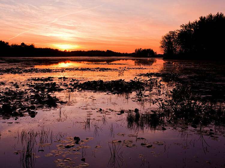 Parc national de Plaisance