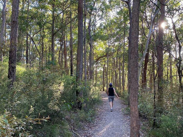 Brisbane’s best walking tracks