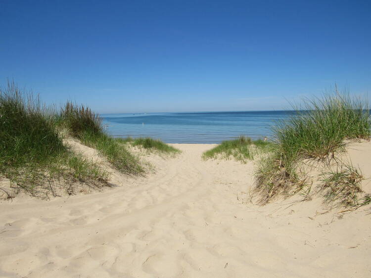 Warren Dunes State Park