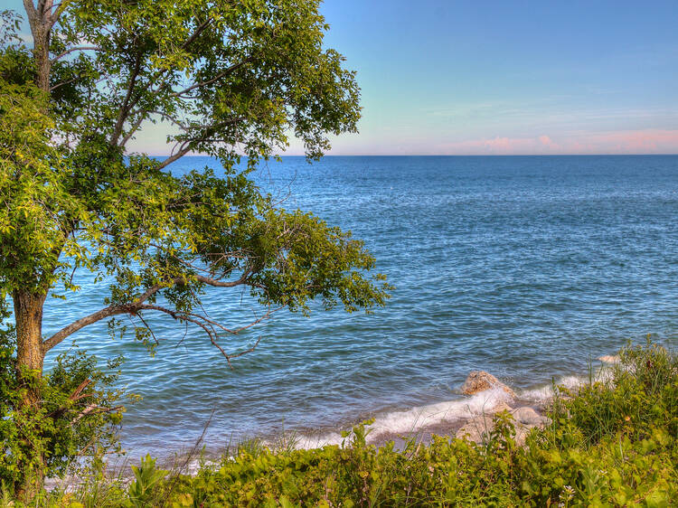 Adeline Jay Geo-Karis Illinois Beach State Park