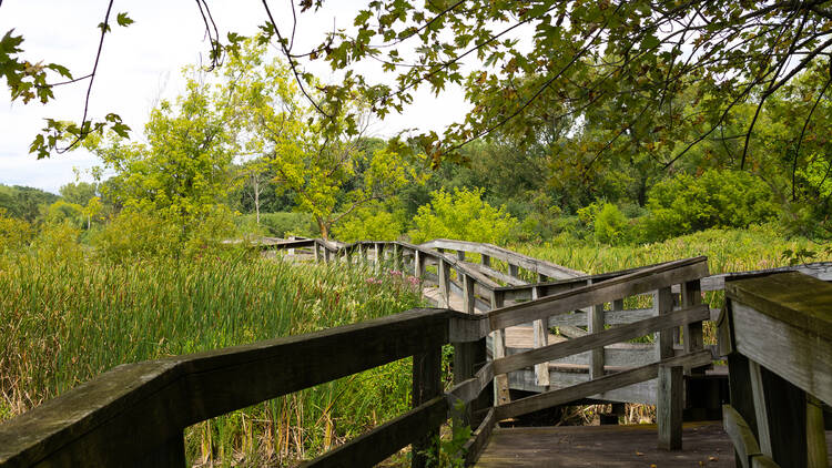 Rock Cut State Park