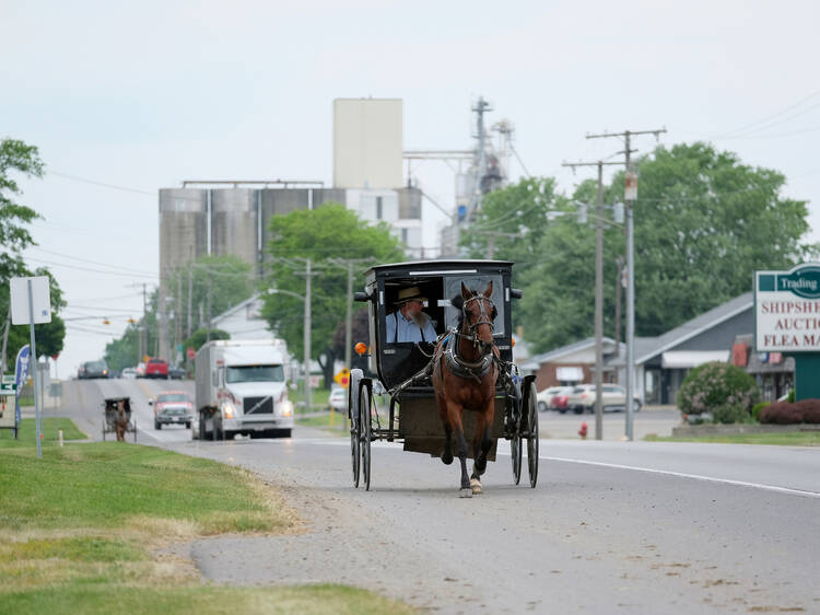 Check out Amish Country in Shipshewana, IN