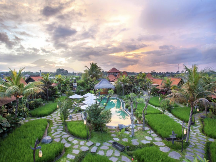 The 10 best hotels in Ubud for a daydreamy escape to the tropics