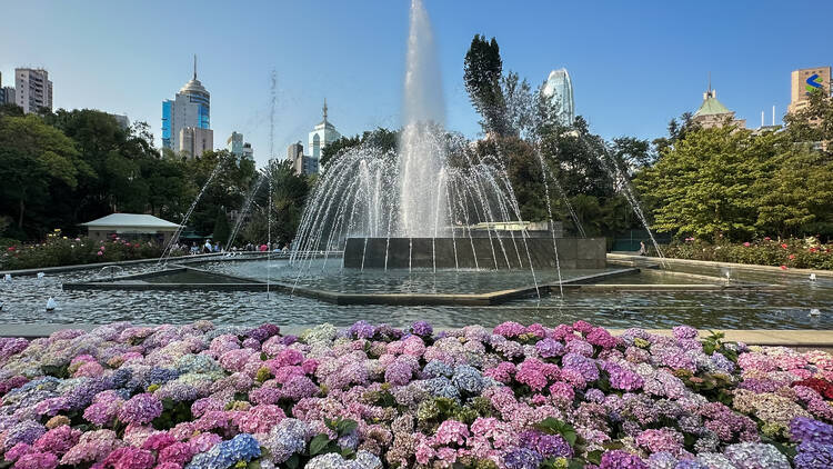 Hong Kong Zoological and Botanical Gardens