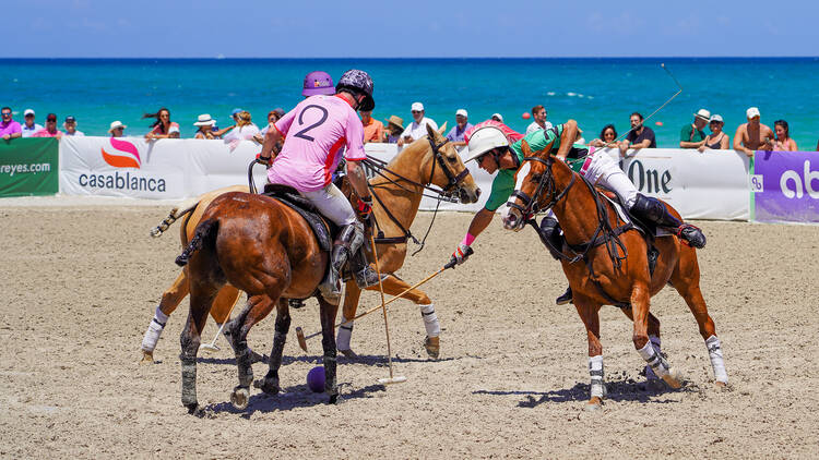 Pick your pony at the Miami Beach Polo World Cup