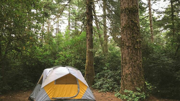 Blackwell Family Campground