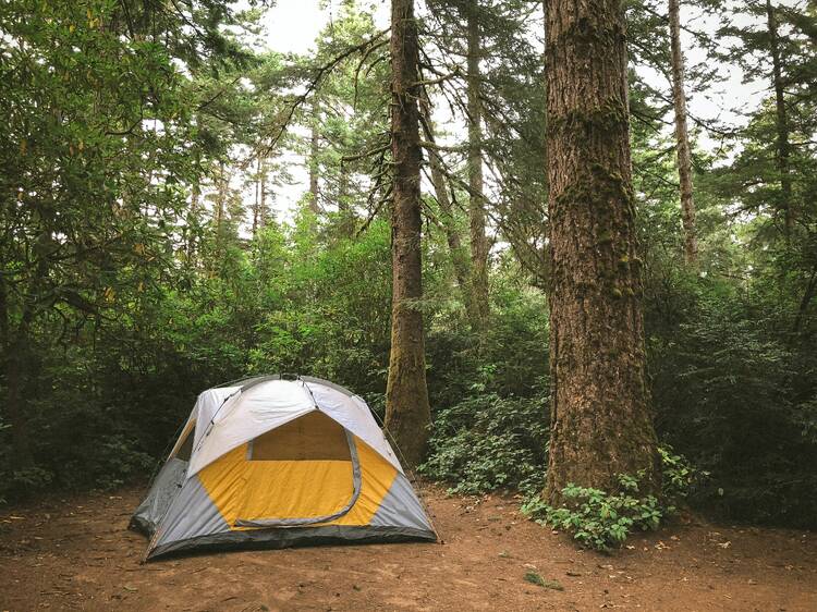 Blackwell Family Campground