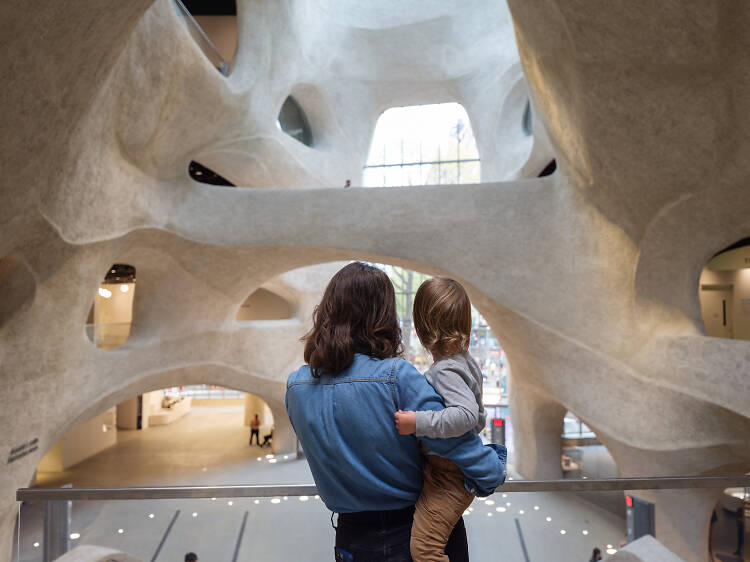 See inside the American Museum of Natural History’s massive new expansion