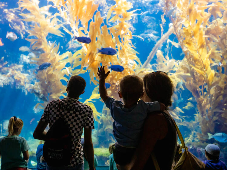 The best things to do in San Diego with kids