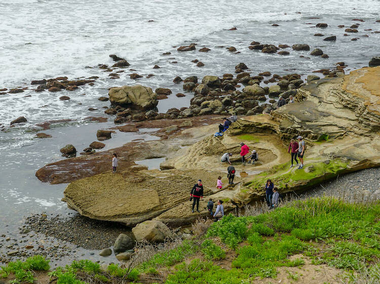 The best hiking trails in San Diego