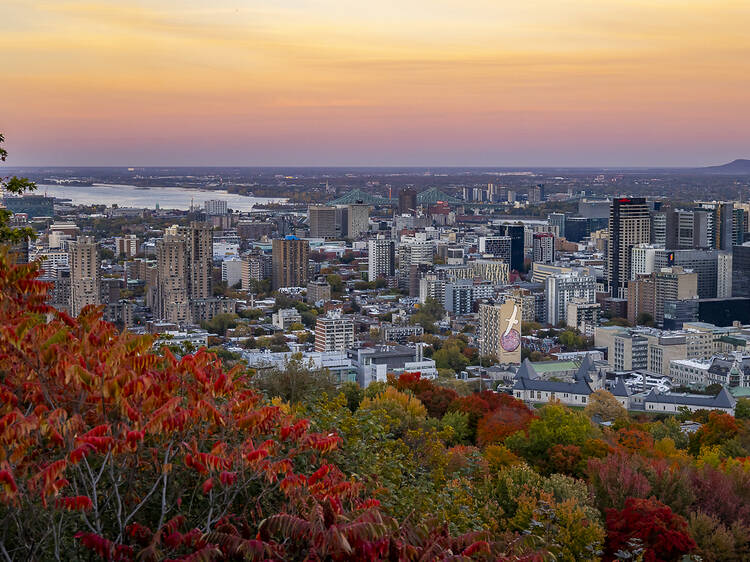 The best places to see fall colours in and around Montreal