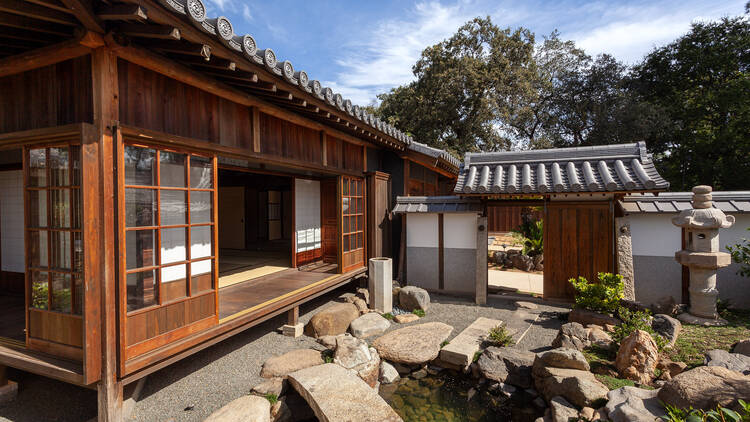 Stroll through the stunning gardens at the Huntington Library