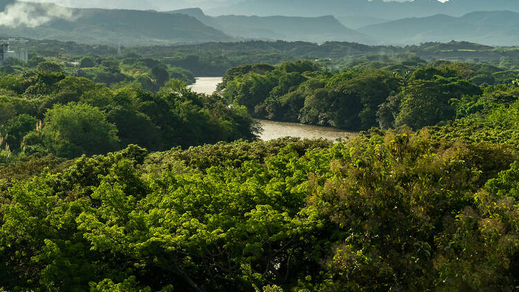 Cruise the Colombian river that inspired ‘Love in the Time of Cholera’