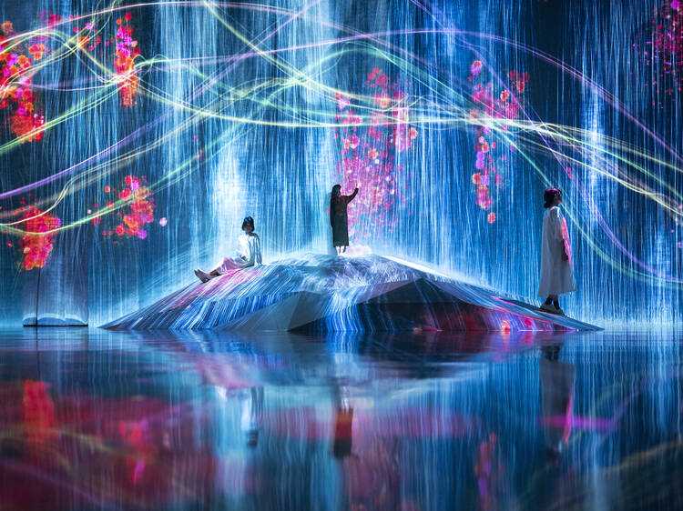 Exhibition at teamLab Borderless