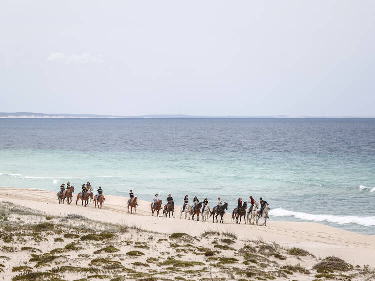 Cavalos na Areia