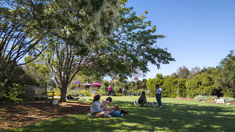 Spend time with your dog at the South Coast Botanic Garden