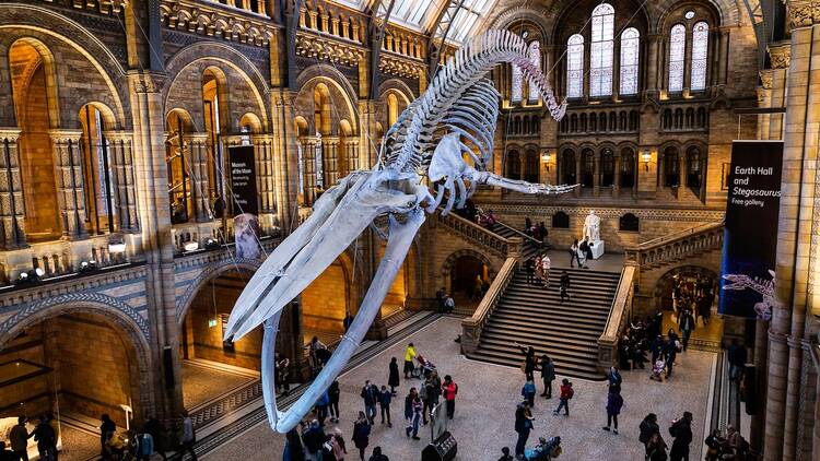 Natural History Museum