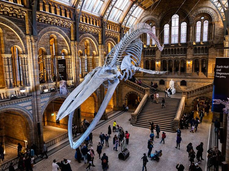 Natural History Museum