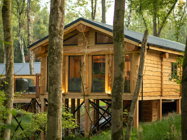 Bluebell Treehouse, Woodland Park Lodges