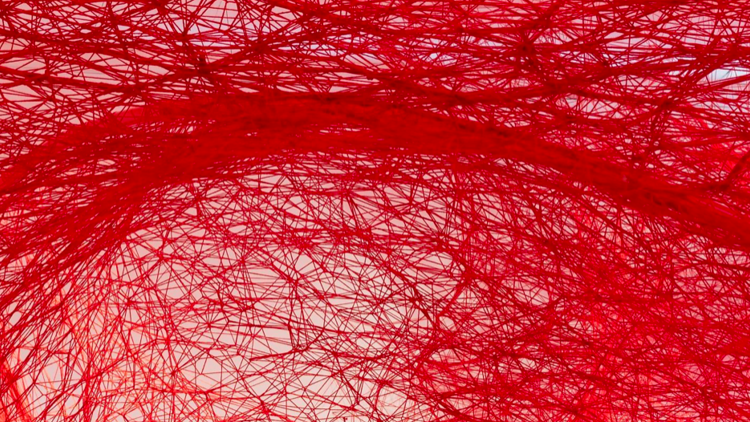 Chiharu Shiota: Dünyalar Arasında