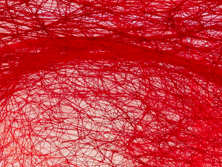 Chiharu Shiota: Dünyalar Arasında