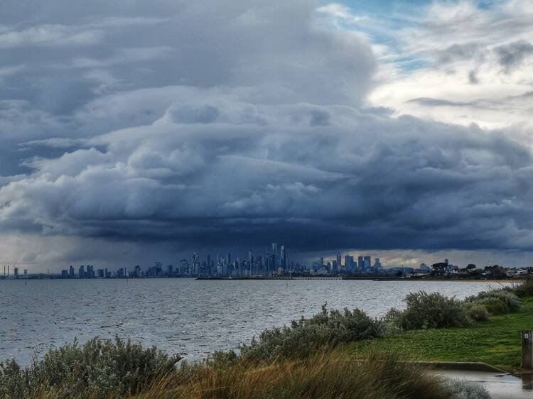 Melbourne's wildly windy weather is finally set to ease soon – after destructive winds ravaged Victoria