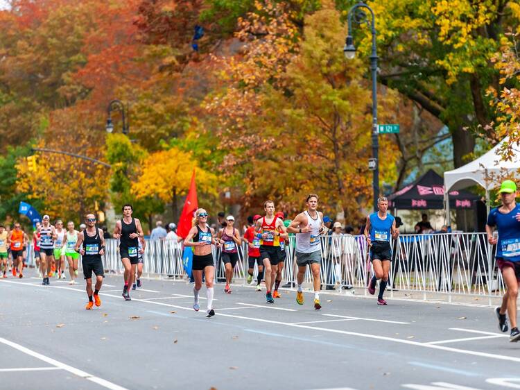 Who were the fastest celebrities in the 2024 NYC Marathon?