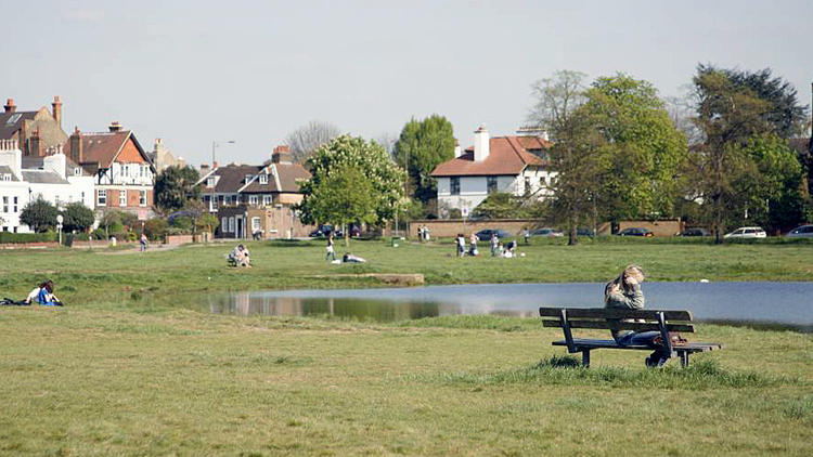 Wimbledon Common