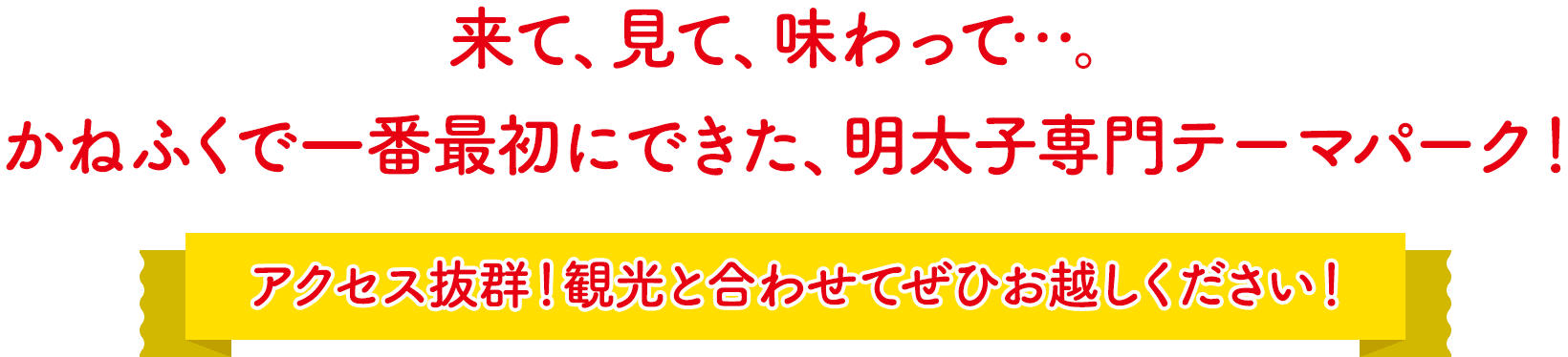 めんたいパークとは