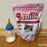 【保護猫】子猫のミルクはいつまでいるの？ミルクの量・やり方【ココネコ日記】