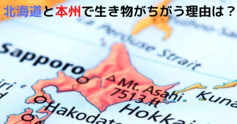 ヒグマは北海道にしかいない。 北海道と本州では生息する動物がちがう理由を知っていますか？