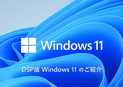 DSP Windows 11 ̂Љ