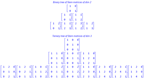 Trees of Stern Matrices.