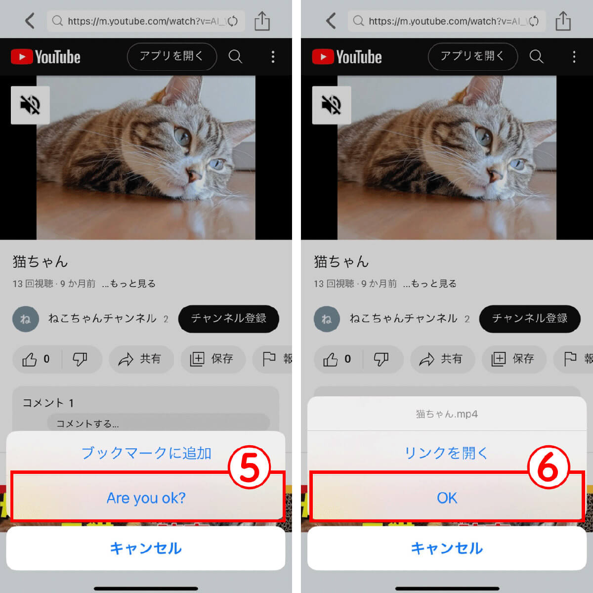 YouTube動画の保存方法3