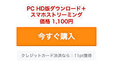 購入しよう！ 操作画面