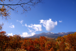 快晴の日の紅葉と山の写真のフリー素材