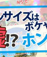 フルサイズはAPS-Cよりボケにやすい！はウソだけどホントでもある理由。