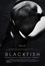 Blackfish 