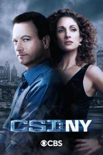 CSI: New York (TV Series)