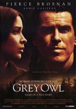 Grey Owl 