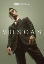 Moscas 