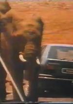 Renault 19: The Elephants (C)