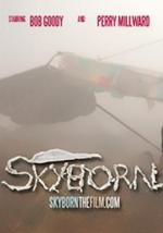 Skyborn 