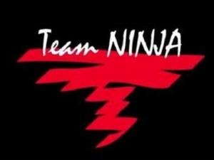 Team Ninja