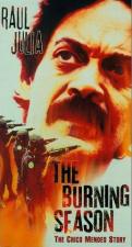 The Burning Season (TV) (TV)