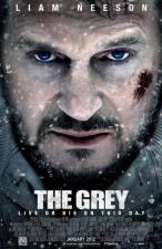 The Grey 