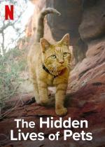 The Hidden Lives of Pets (TV Series)