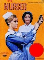 The Nurses (TV Series)