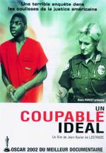 Un culpable ideal (Un coupable idéal) 