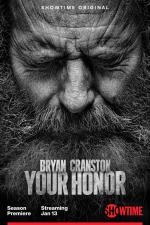 Your Honor (Serie de TV)